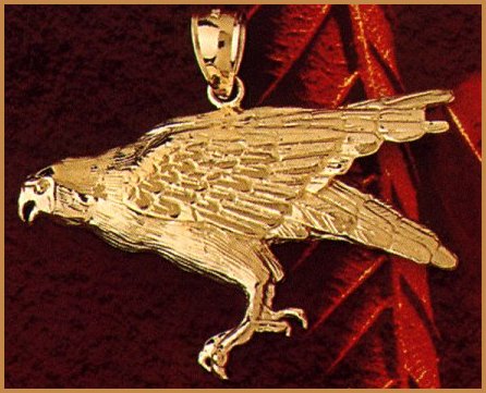20275hawk.jpg (46538 bytes)