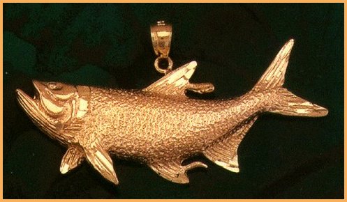 23030chinook_salmon.jpg (39012 bytes)