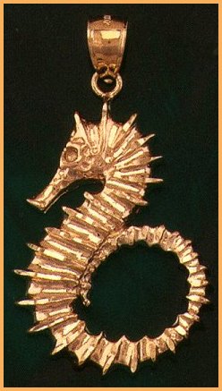 23038large_seahorse.jpg (30454 bytes)