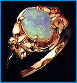 TOPR1625.jpg (9661 bytes)