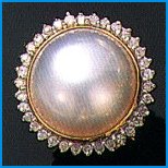 TPER1443.jpg (9231 bytes)