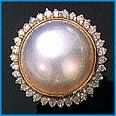 TPER1443th.jpg (6125 bytes)