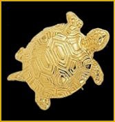 turtle2349.jpg (7582 bytes)